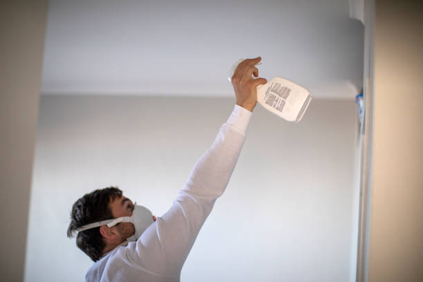 Best Industrial Mold Remediation in St Francis, WI