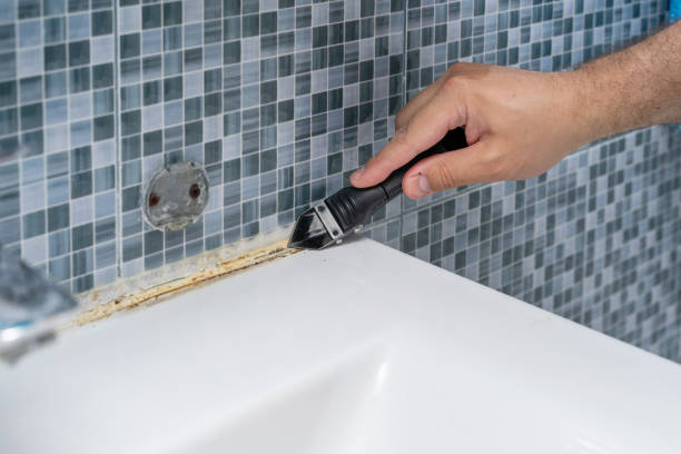Best Kitchen Mold Remediation in St Francis, WI